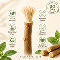 RootBrush - natural whitening brush